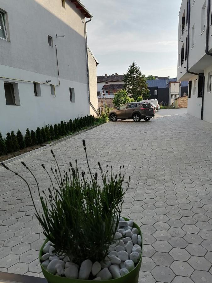 Apartman Stimac Petrovaradin Exteriör bild
